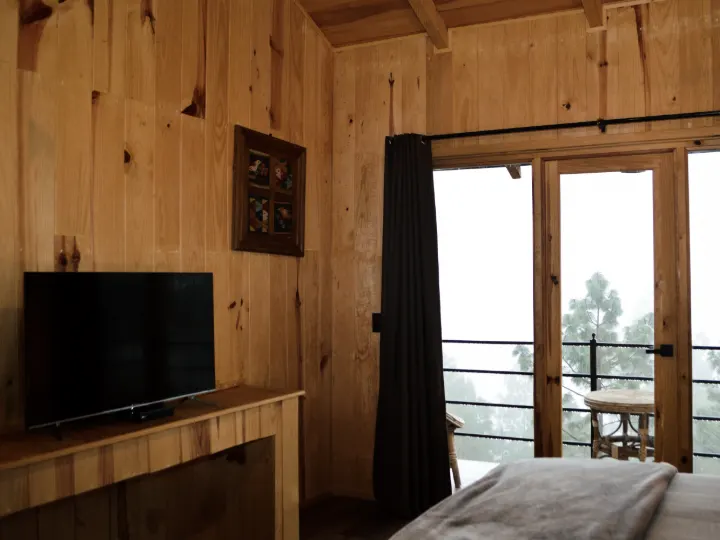 Habitación King Size petfriendly · Fase 2